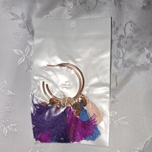 Colorful Tassel Hoop Earrings